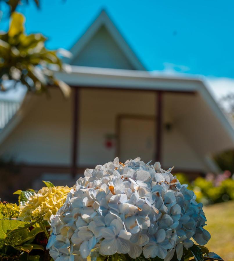 Hortensias Chalets Vara Blanca Heredia Exterior photo